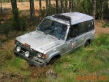 200407_2zlotpojarek_100 200407_2zlotpojarek_100